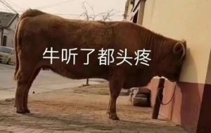 ��APP�WУ�f���W�M���Ҫ���X��֧����֧���r�韩�́���......