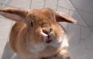 ����·��~�����ɐ۵����������