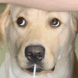 ����ʮ�׼��Q�����·����]�뵽�ϋ�Ҫ���ˣ���ʹȫ�˰��X���o��