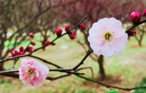 ��Ҫ�ڵ�һ�仨�_�r������һ��վ�ڴ�����