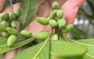 �@��ʲôѽ���@��С������ʲô��