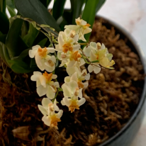 ϲ�g����ϲ�gꖹ⣬ӑ�������