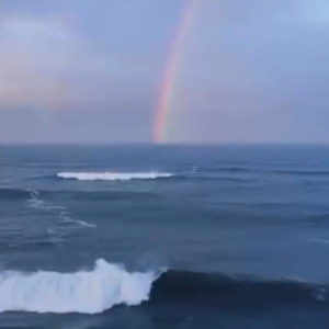 �˻��c�ʺ� �@���������Ŷ~