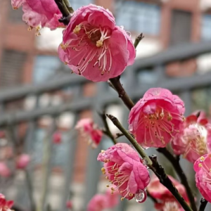 �����ǌ��Լ����B���ޟ�