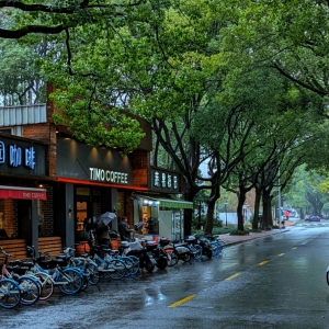 ������һ����;��ż������Ҋ����