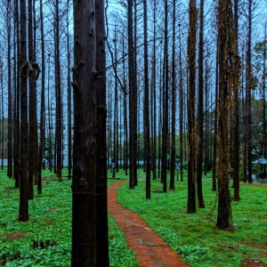 ���gС�����²�������Ҋ¹�أ�