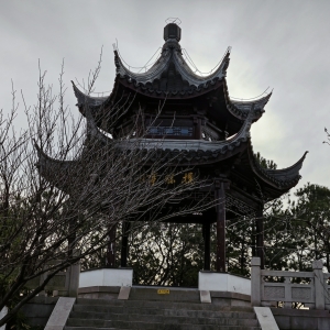 �S�ģ�ͤ�_���w����������