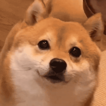 ��^֮�󣬜yԇһ���Լ��Л]���X�˻�