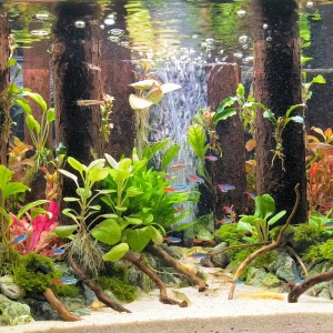 �ĕr�ɂ����£����_�׵��ɾ������X���Լ���������߀��