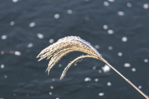 ��������A������������