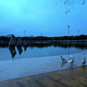 ���õİ��������H�Ǟ��f�����Ĺ���ֻ�к��t���ش�