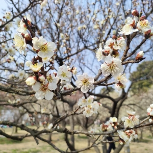 ��÷�@���칫�������m�ϳ���