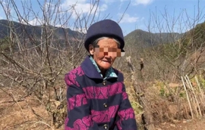 ̫���������ǔ[��