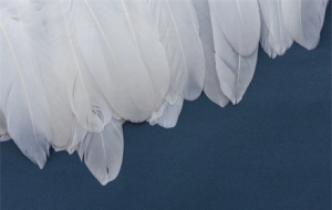 �Ѕ^�������f��q������q���ĵط���