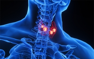 ͻ�۲Űl�F�Ǽ׿����Ă��tԺЧ���ã�