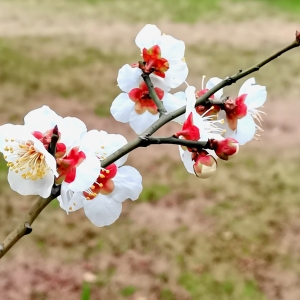 2��22�մ�򹫈@�S�ģ���ů���_