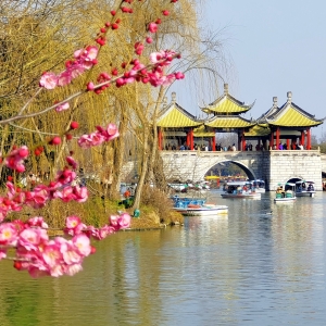 ��������Ӱ��÷�@÷��ʢ�_