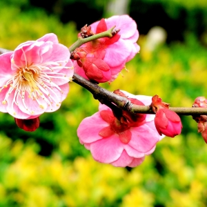 �t÷ٝ���������·÷�@÷��