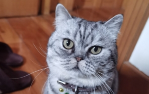 ���Y�۵�3000߀ʣ���٣������ۂ�������ǲ�����ĺܸF