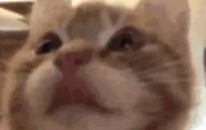 ��һֱ�X�ÌW�^����Ҫ���ǽ��������ﶼ�ܰl��