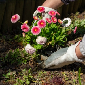 ��Ҳ�������ˣ����l���B�ϣ��N�N���B�B�~