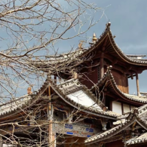 ���ģ����˴���ɳϪ��悡�ϲ�޹��