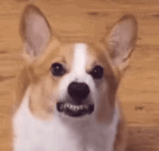 ����ҪТ혣��������R�ң��Ҷ��������~