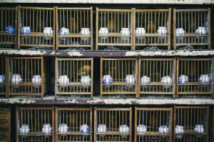 ���B�Ј������ԣ��r���F���F��