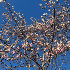 ���գ����m���_�M��