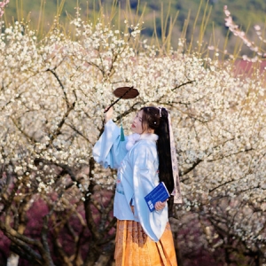 ����ɽ÷�X��÷��ʢ�_