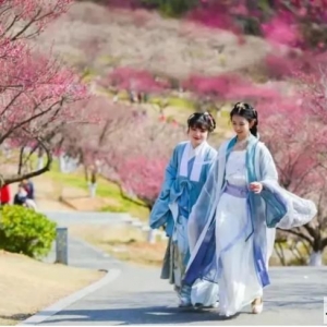 ��ɽ���^���������˸���