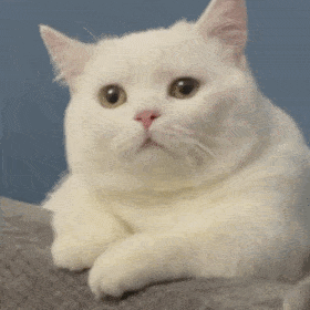 ������o�p�p�ѽ����ˣ�����Y�飬����Ҫ���ӣ����ܪ�̎