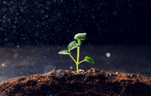 ���ڽ����������ʽ�M(j��n)��