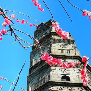 �d����ʼ���ڱ���̫ƽ�d�����g