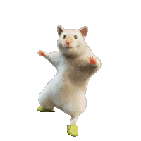 �ҵĶ������U�ˣ���ǰ���_��������Ů���F(xi��n)�ڴ��_ȫ�ǻ��B�x�~