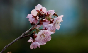 �ѻ��������������������