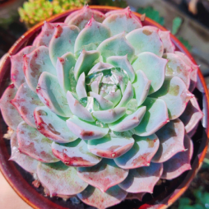 ����⣺���ò�Ҫ��Ҫ��