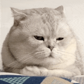 12С�r�����ϵě]Ƣ���ˣ����C4���^4�T��λ�����y������m�Y~