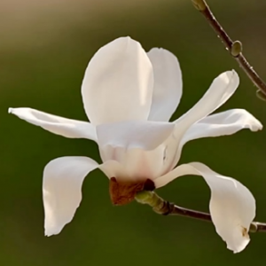 ��һ�|���⣬�ɵ֚q�·�ʏ