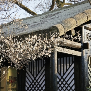 �����������÷�c�m