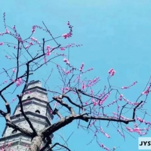 ��ꎵ�Ԋ�ⴺ�죬���ˮܽ�أ���������