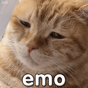 ؂��؈�_ʼ��ë�ˣ��Л]�з����p�ٵ�ë