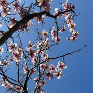 ȥι����؈��혱�����m��