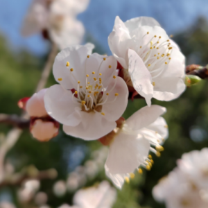 ����̤����÷���ӻ������_��