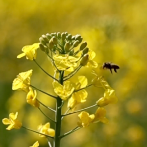 �������İ����������@һ�̴�ů���_