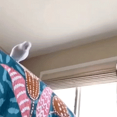 �f��������������������ҵ��̷򣬮��r�]Ц������������