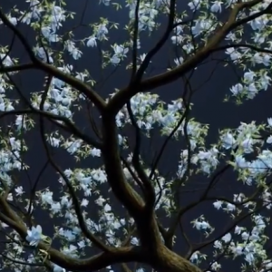 �L�����������S�����㸡�����S��