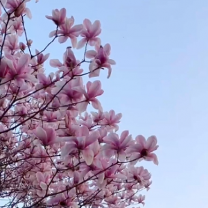 ��һ�N��ɫ�������m���_