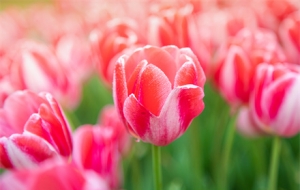 ���첻��·�������y����