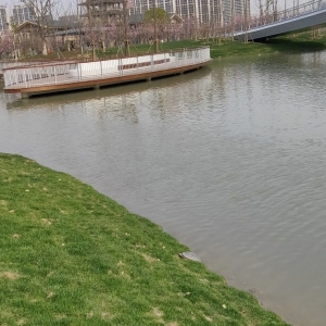 �\�ӹ��@�쵽һֻ���������ڕ�̫�